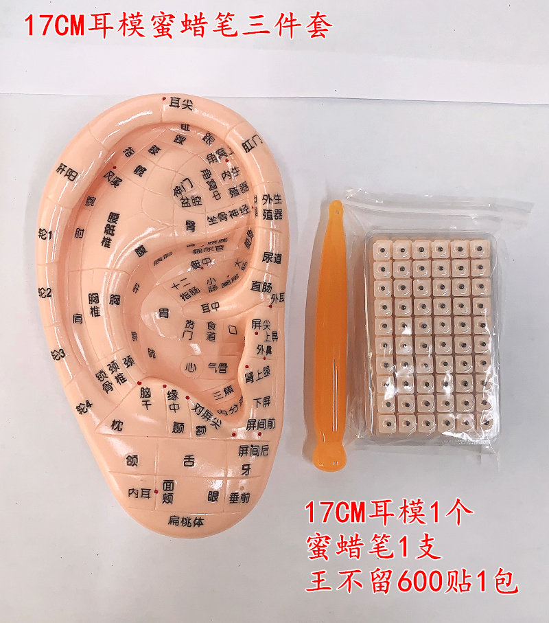 经络通耳朵模型 耳模型 王不留行籽耳贴耳豆蜜蜡点穴笔耳穴贴包邮