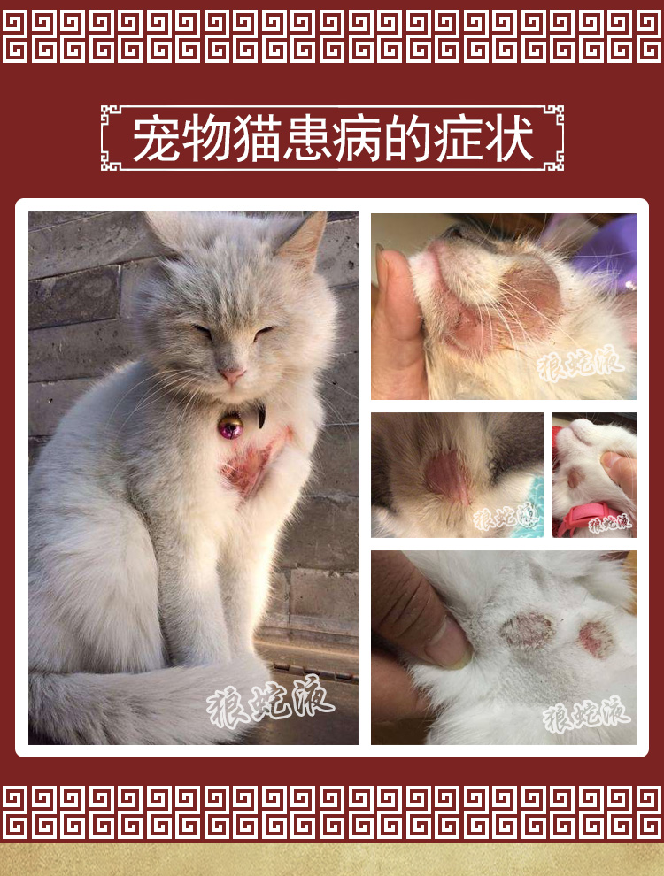 Mèo, mèo, chó, chó, bệnh ngoài da, thuốc xịt, lông vàng, rệp, điều trị, nhiễm nấm, ngứa, tác dụng đặc biệt, không phải là pitphen - Cat / Dog Medical Supplies 	đầu kim tiêm thú y	