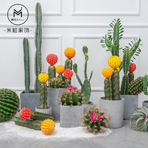 Nordic ins simulation color cactus cactus fairy column plant potted landscaping ornaments window decorations