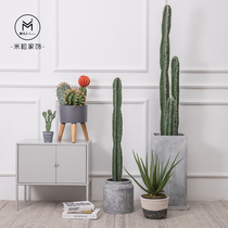 Nordic net red decorative plant simulation cactus scale sky ruler Fairy column fake green plant indoor landscaping potted ornaments