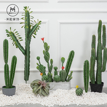 Nordic simulation cactus ornaments fake cactus column cactus landscape window decoration Net red plant green props