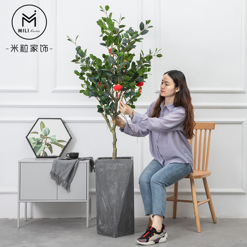 Rice Grain Living Room Hair Treasure Tree Large Green Planting Potted Plant Emulation Plant Decoration Living-room Hem Decorative Fake Tree Olive Grove