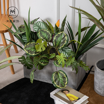 Nordic simulation small plants to mesh red landscaping ferns green plants decorative desktop small potted turtle back leaves birds of paradise