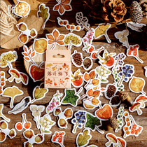 Mo-ink box small stickers fallen leaves flying autumn plants leaves fruit Handbook Diary decoration stickers