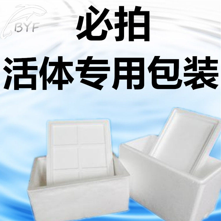 Buy Aquarium fish Water grass snail shrimp special foam box Special fish bag Tropical fish live long-distance transport