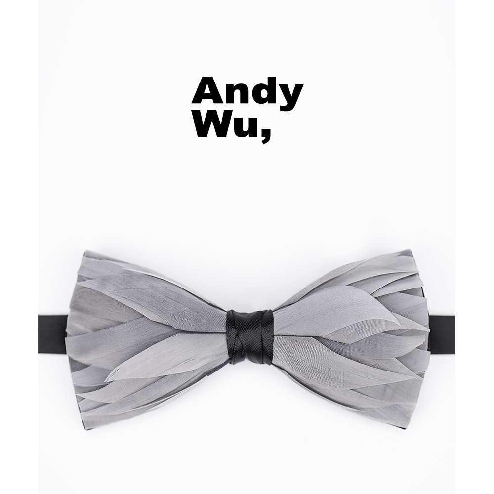 Andy Wu Swan series gray handmade feather collar men's high-end handmade wedding groom best man gift pot tie