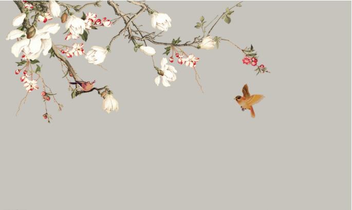 玉兰花 花鸟 壁