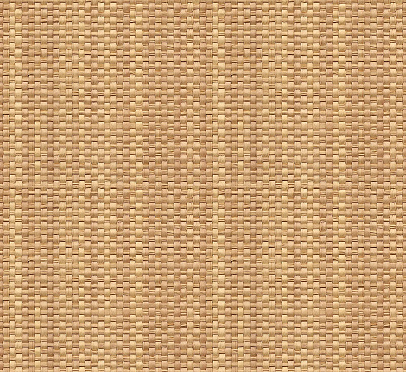 现代简约背景墙草