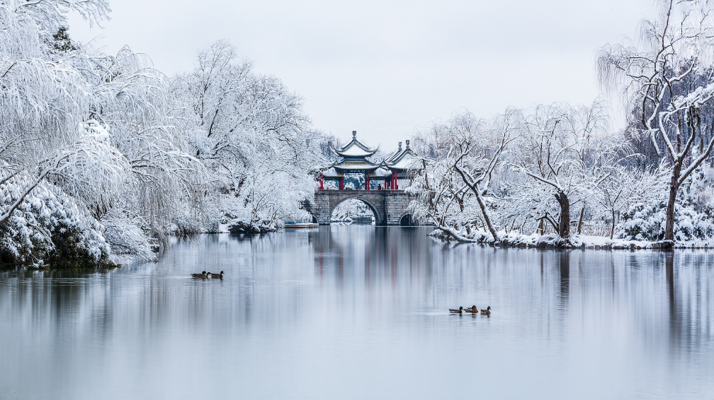 瘦西湖冬春换季景