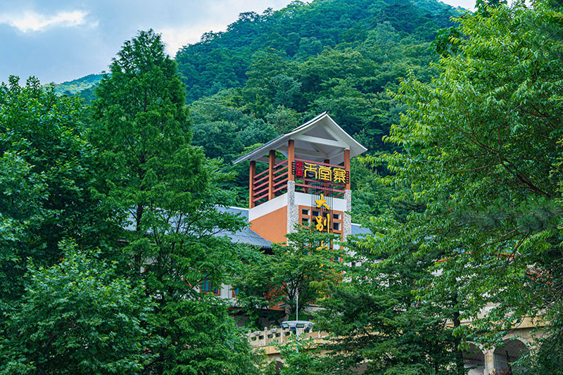 外网下载图案自然