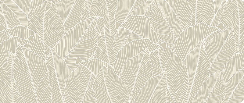 现代简约背景墙白