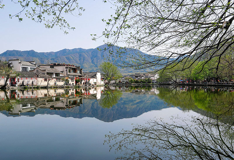 外网下载图案背景