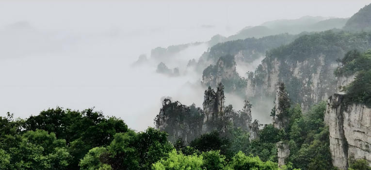 现代简约自然风景