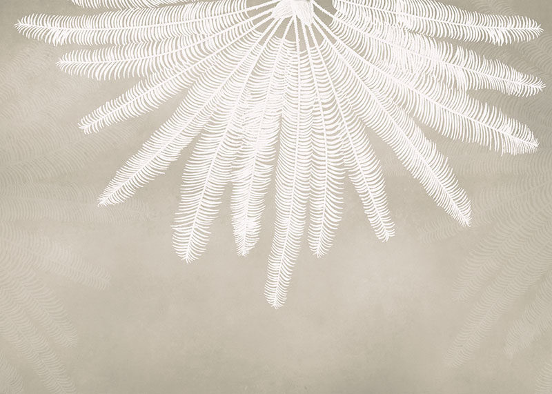 现代简约背景墙白