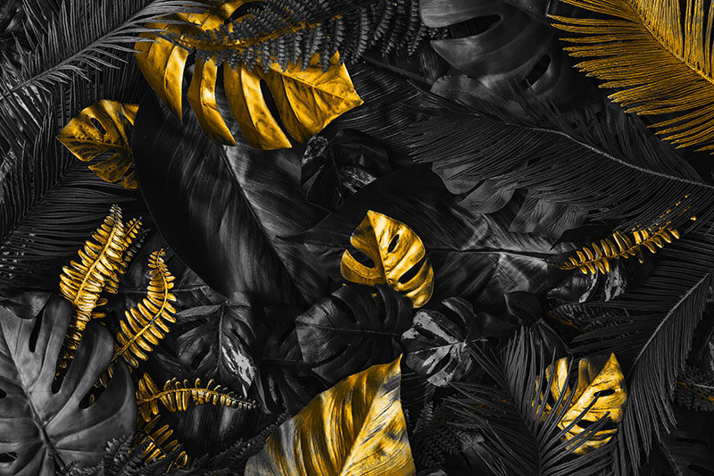 背景墙热带雨林植