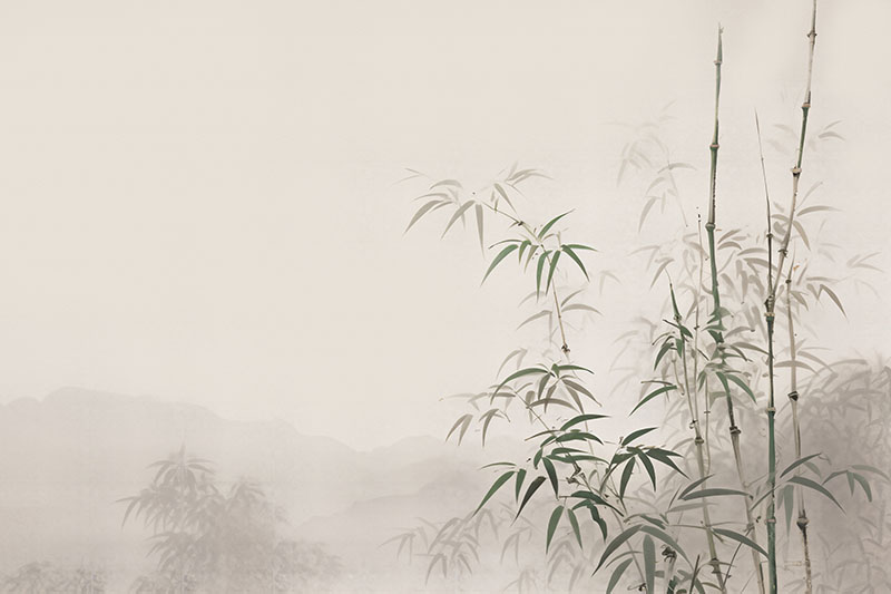 外网下载图案背景