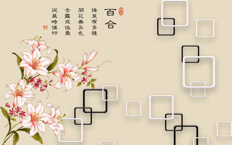 百合电视沙发背景