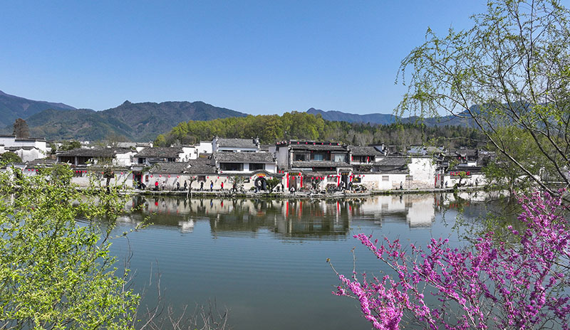 外网下载图案背景