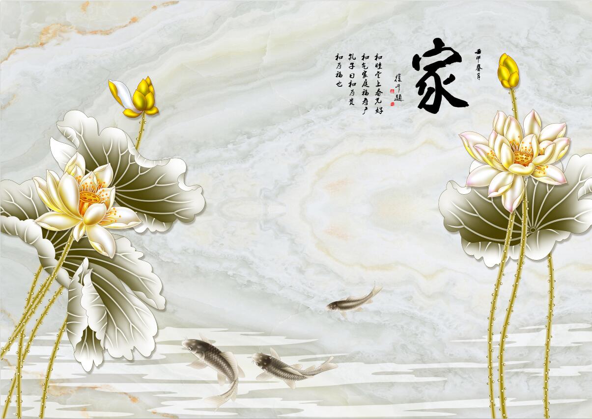 家庭和睦荷花鱼大