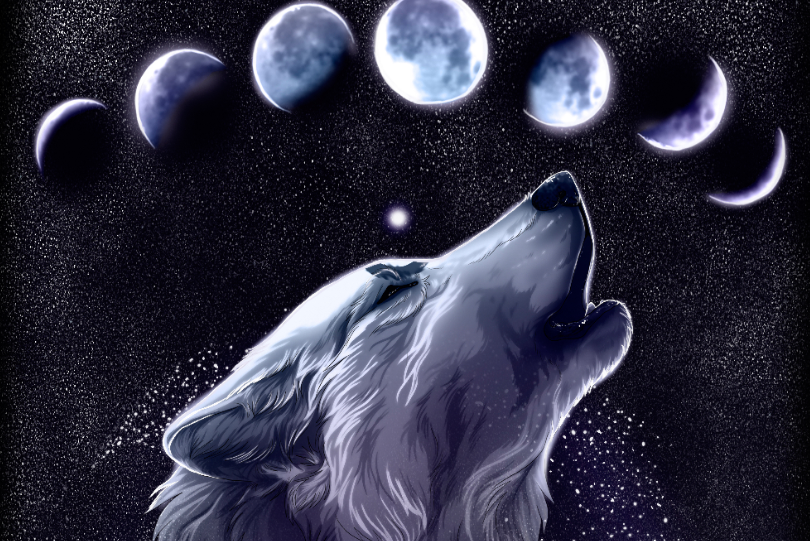 科幻星空 孤狼啸