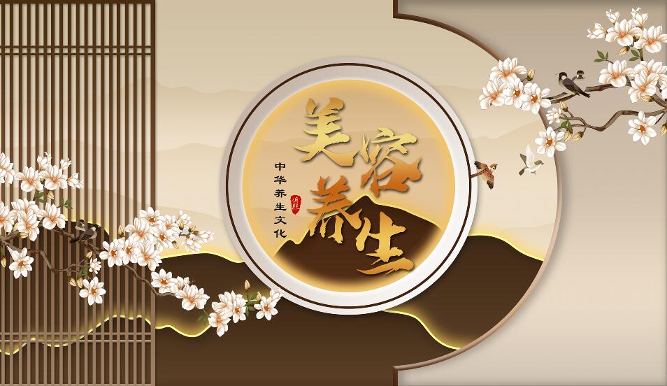 新中式中医养生养