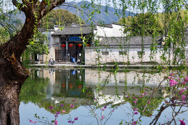 外网下载图案背景