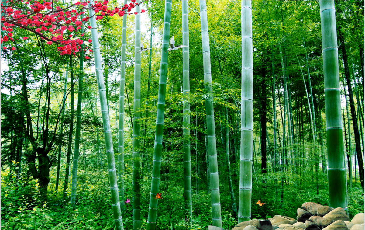 唯美风景壁画竹林