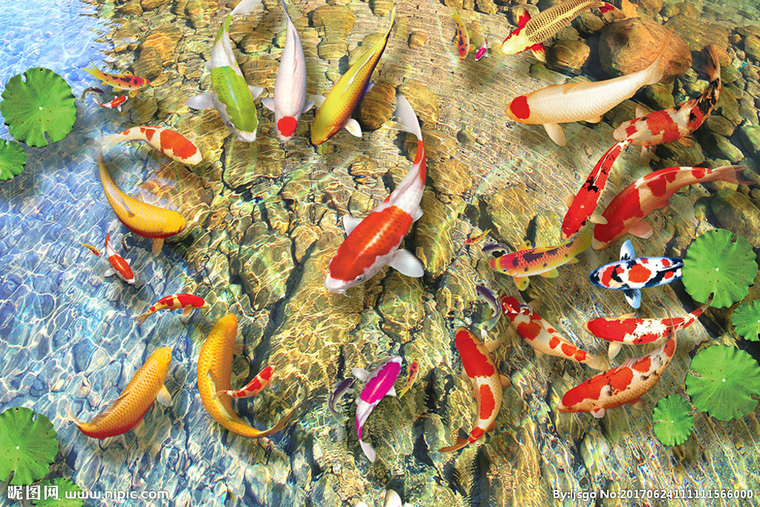 G中式荷花鲤鱼3