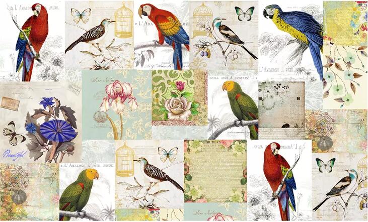 美式复古花鸟水彩