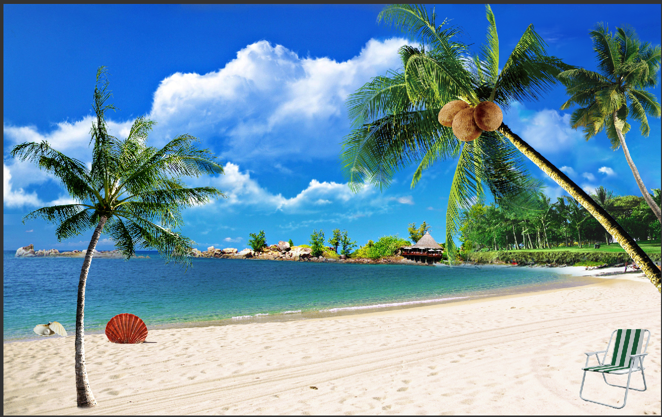 海边沙滩椰子树背