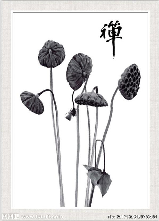 禅意莲蓬背景墙禅