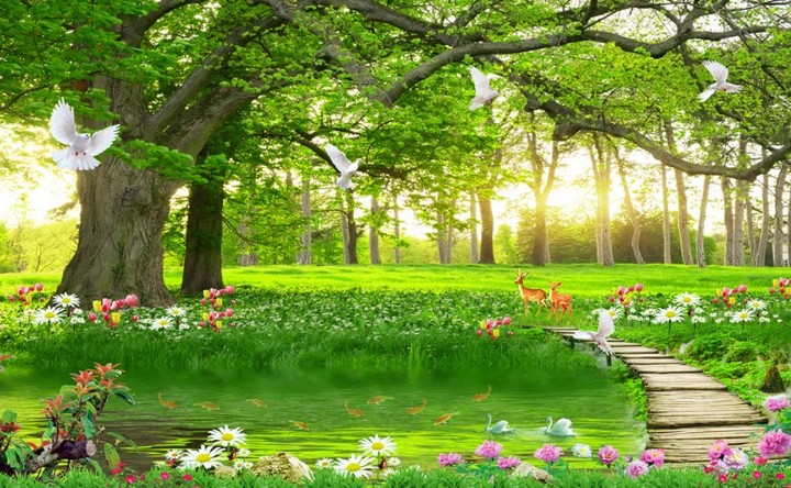 唯美简约休闲绿色