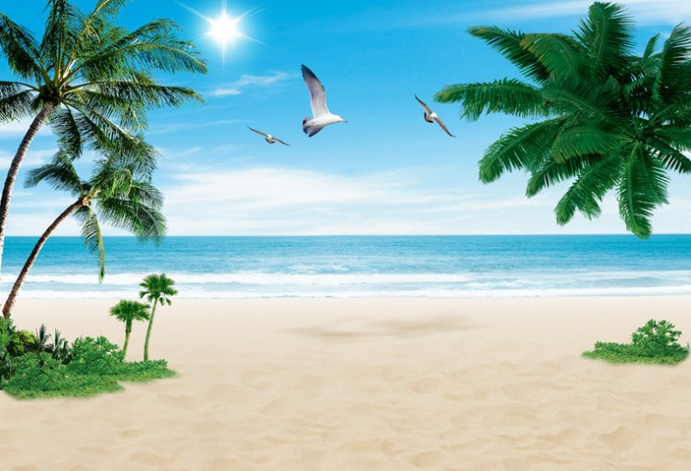 片大海椰子树海鸥