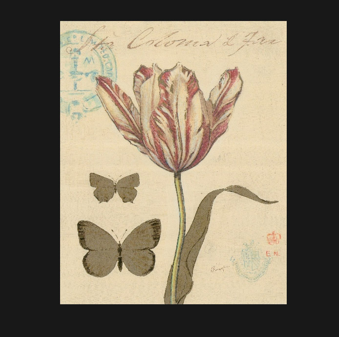 油画花朵背景墙油