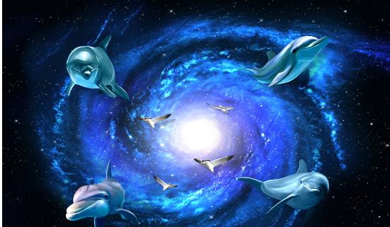 星空漩涡海豚立体