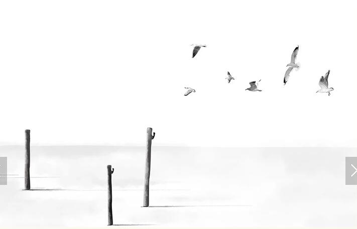 现代简约黑白壁画