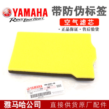 Genuine yamaha sky sword king air flying filter