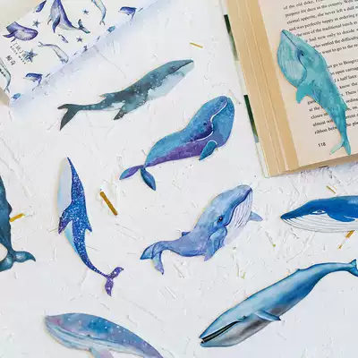 Whale Bookmark Handbook Big Winged Whale Whale Dolphin Diver Gift 30 A Box of Whale Bookmark Book Card