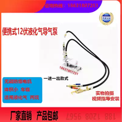 12v liquefied gas pump reverse air pump 12 volt propane pump car small air pump liquefied gas pilot air pump