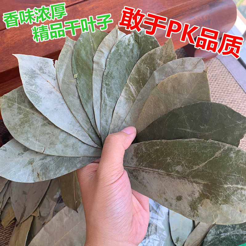 刺果番荔枝干叶子红毛榴莲干叶子茶,真的能养生?揭秘“神奇草本茶”的真相-番荔枝-淘宝百科网