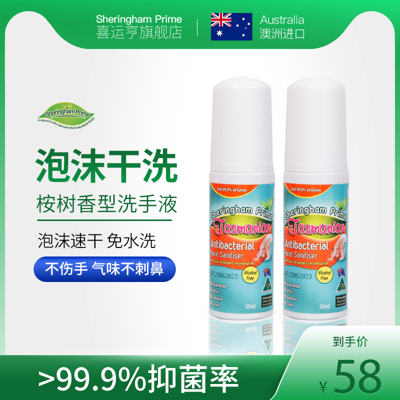 Happy Transport Heneucalyptus Aroma Free Washing Hand Sanitizer Portable Home Foam Type Bacteriostatic Hand Sanitizer Australia 2 Clothes