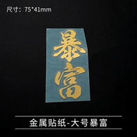 Металлические наклейки-21-гоночный размер богатый