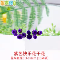 Фиолетовые счастливые цветы высушенные цветы (10 цветов)