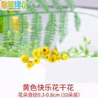 Желтые счастливые цветы сушеные цветы (10 цветов)