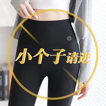 Shark Pants Spring Summer Thin 80% Pants Woman Small Outside Wearing Elastic High Waist Lifting Hip Slim Leg Yoga Bali Pants