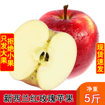 New Zealand imported red rose apple fresh QUEEN Crispy Sweet Red Apple Fruit Wholesale