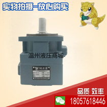 Machine tool oil pump YB-D31 5 YB-D40 Xianju Yongling YB-D50 vane pump Xianju YLC Yongling