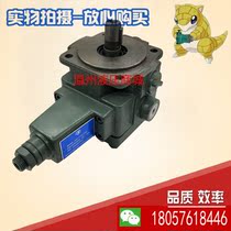 Yinchuan Great Wall hydraulic YINCHUAN variable vane pump YBX-10A (V3) YBX-D20V3 YBX-C32