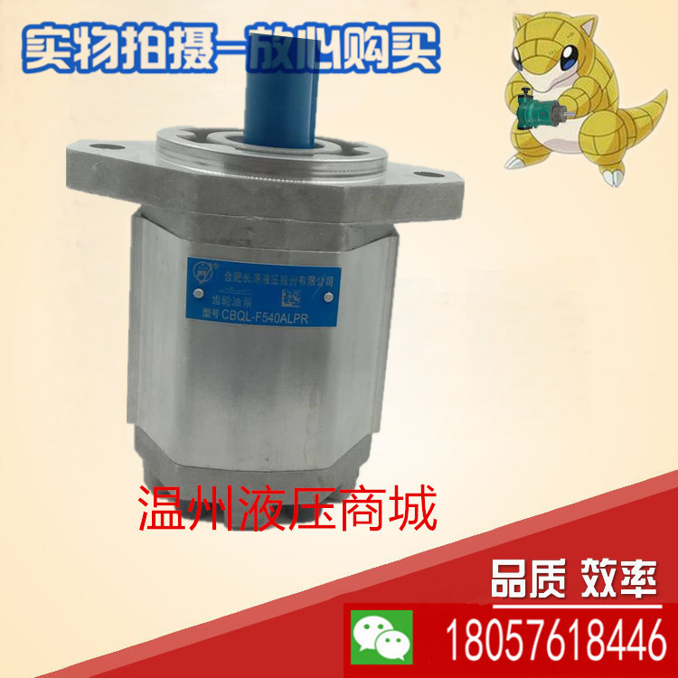 Hefei Changyuan Hydraulic Gear Pump CBQ-F573-AFP Hydraulic Gear Oil Pump CBQ-G525-AFP