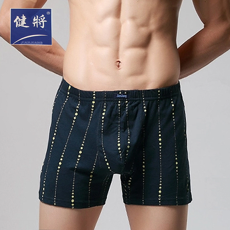 Thể dục nam Quần lót Boxer Quần cotton 100% Cotton Chất béo trung niên Chất béo cộng với Tăng vòng eo Lớn Kích thước lớn đồ lót cao cấp